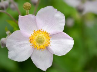 فال روز چهارشنبه ۳۰ جولای - ۸ امرداد