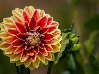 فال روز شنبه ۲ آگوست - ۱۱ امرداد