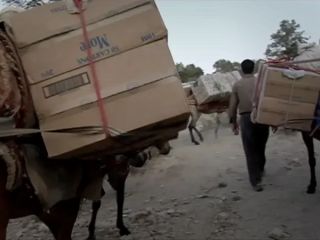 خانواده کولبران کرد اعدام‌شده به اتهام ارتباط با موساد: آن‌ها بی‌گناه بودند