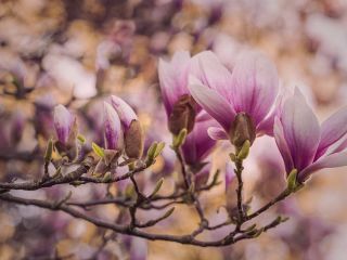 فال روز دوشنبه ۴ آگوست - ۱۳ امرداد