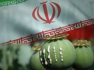 دولت جمهوری اسلامی در پی قانونی شدن کاشت و برداشت تریاک در ایران