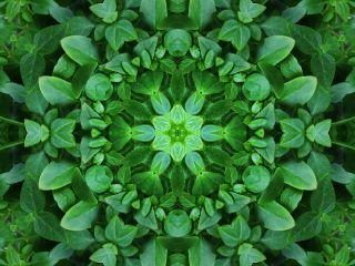 فال روز جمعه ۸ آگوست - ۱۷ امرداد