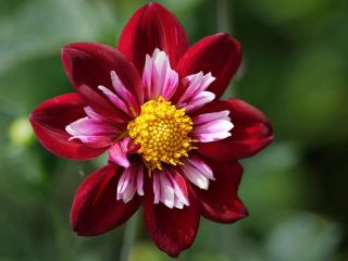 فال روز یکشنبه ۱۰ آگوست - ۱۹ امرداد