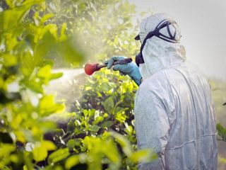 سرطان، آلزایمر و ناباروری «به شدت» با مواد شیمیایی سمی در آب و غذا مرتبطند