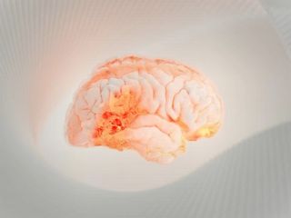 مغز زنان و مردان به اشتباهات گذشته واکنش متفاوتی نشان می‌دهد