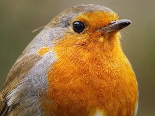 فال روز سه‌شنبه ۱۲ آگوست - ۲۱ امرداد