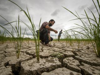 سودای «خودکفایی» خمینی چگونه ایران را به زمین سوخته تبدیل کرد؟