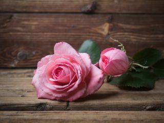 فال روز جمعه ۱۵ آگوست - ۲۴ امرداد