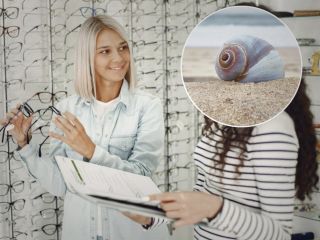 امید به درمان نابینایی؛ حلزونی که چشم‌هایش را بازسازی می‌کند، انسان هم می‌تواند؟