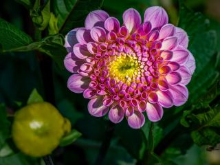 فال روز سه‌شنبه ۱۹ آگوست - ۲۸ امرداد