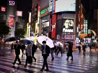 نگاهی به پدیده مرموز جوهاستو؛ چرا سالانه ۸۰ هزار نفر در ژاپن ناپدید می‌شوند؟