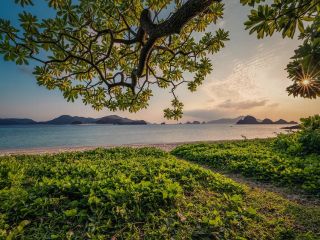 فال روز پنجشنبه ۲۱ آگوست - ۳۰ امرداد