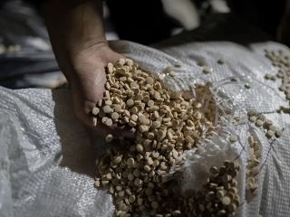 قاچاق مواد مخدر؛ همکاری اطلاعاتی لبنان و عراق منجر به کشف کارخانه‌ بزرگ تولید کاپتاگون شد