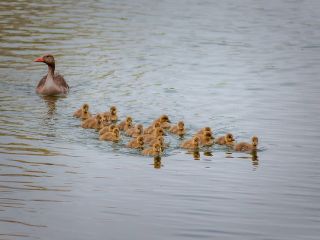 فال روز جمعه ۲۲ آگوست - ۳۱ امرداد