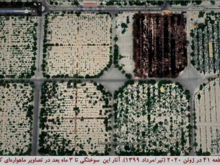 عفو بین‌الملل: حکومت با ساخت پارکینگ در قطعه ۴۱ درحال پنهان‌سازی شواهد جنایت‌ است