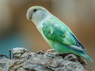 فال روز دوشنبه ۲۵ آگوست - ۳ شهریور