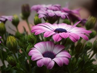 فال روز سه‌شنبه ۲۶ آگوست - ۴ شهریور