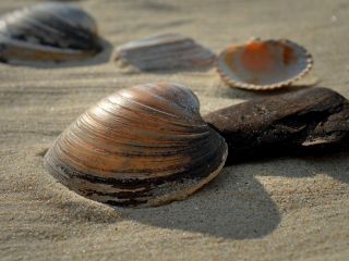 فال روز جمعه ۲۹ آگوست - ۷ شهریور