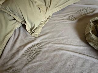 ادامه مصیبت‌های آواره‌گان جنگ ۱۲ روزه؛ سرقت ۵ میلیاردی از خانه و صاحب‌خانه‌ای که پول پیش را پس نمی‌دهد