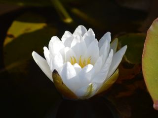 فال روز یکشنبه ۳۱ آگوست - ۹ شهریور