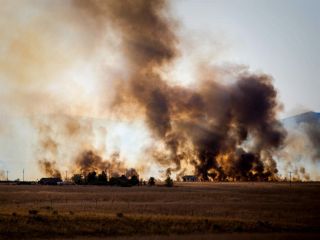 کشف پادزهری برای مونوکسید کربن که مسمومیت را فورا از بین می‌برد