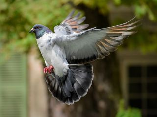 فال روز سه‌شنبه ۲ سپتامبر - ۱۱ شهریور