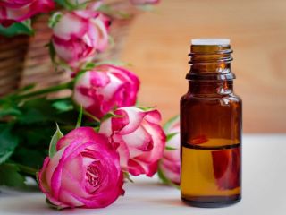 استشمام عطر گل رز بخش خاکستری مغز را تقویت می‌کند