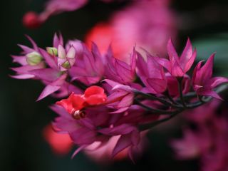 فال روز چهارشنبه ۳ سپتامبر - ۱۲ شهریور