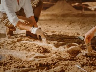 کشف شگفت‌انگیز دانشمندان: فسیل ۵۲۰ میلیون ساله با مغز و روده‌هایی سالم مثل روز اول پیدا شد