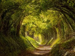 فال روز پنجشنبه ۴ سپتامبر - ۱۳ شهریور