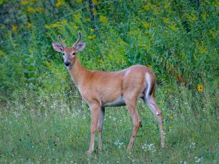 فال روز جمعه ۵ سپتامبر - ۱۴ شهریور