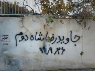 جوانانی که دوران پهلوی را ندیدند، اما عاشق پهلوی شدند