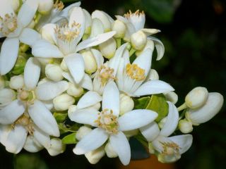 فال روز یکشنبه ۷ سپتامبر - ۱۶ شهریور