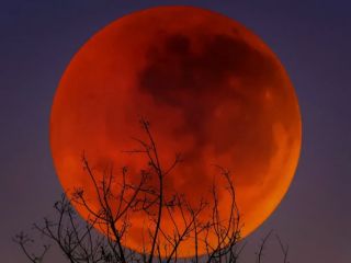 ماه خونین در آسمان ایران؛ جزئیات کامل ماه‌گرفتگی امروز ۱۶ شهریور