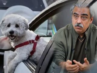 رابطه سرو مشروب، بی‌حجابی و سگ‌گردانی با امنیت ملی از نگاه کارشناس صداوسیما