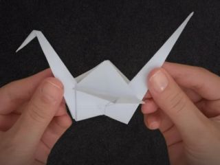 پرنده مهسا؛ هزار درنای ناتمام ایران