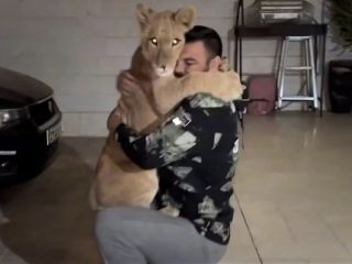 وقتی خانه امیر علی‌اکبری برای یک شیر امن‌تر از باغ وحش ارم است!