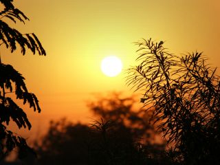 فال روز یکشنبه ۲۱ سپتامبر - ۳۰ شهریور