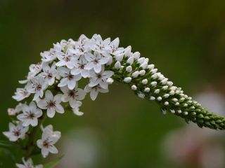 فال روز سه‌شنبه ۲۳ سپتامبر - ۱ مهر