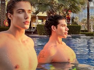 از معرفی در صدا و سیما به عنوان نخبه پزشکی و خلبانی تا شرکت کردن در برنامه Villa XO به عنوان یک همجسنگرا