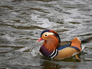 فال روز پنجشنبه ۲۵ سپتامبر - ۳ مهر