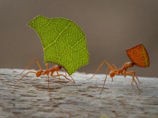 فال روز جمعه ۲۶ سپتامبر - ۴ مهر