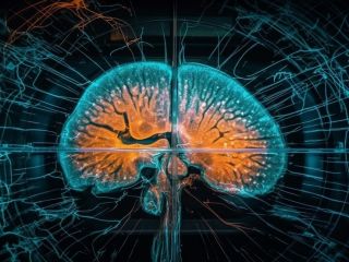 دانشمندان، مسافت‌سنج مغز را شناسایی کردند