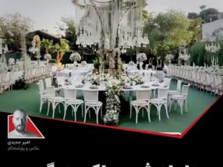 داماد شدن با کت دیگری به قاپ سگ نمی‌ارزد