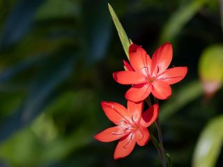 فال روز دوشنبه ۲۹ سپتامبر - ۷ مهر