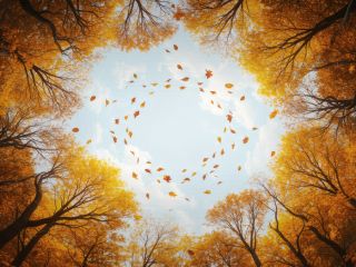 فال روز چهارشنبه ۱ اکتبر - ۹ مهر