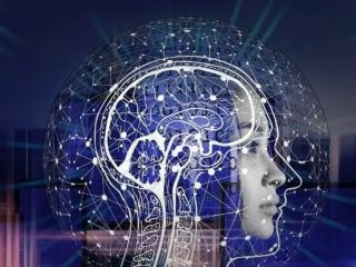 میکروب‌های بدن چگونه خواب انسان را تحت تاثیر قرار می‌دهند