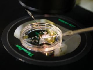 دانشمندان برای نخستین‌بار از دی‌ان‌ای پوست انسان جنین ساختند