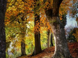 فال روز شنبه ۴ اکتبر - ۱۲ مهر