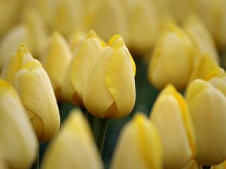 فال روز یکشنبه ۵ اکتبر - ۱۳ مهر